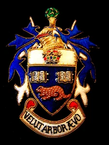University of Toronto Coat of Arms bullion wire embroidered 3 3/4" crest - Picture 1 of 2