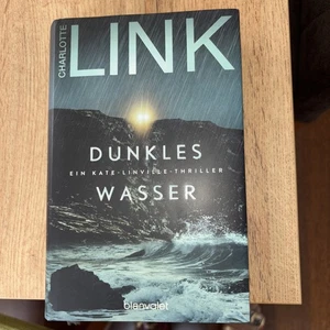 DUNKLES WASSER von CHARLOTTE LINK - EIN KATE-LINVILLE-THRILLER (2024, GEB. A.) - Bild 1 von 9