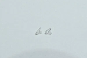 E1713 Fleischmann Roco 1x Linsensatz TEE 601 602 11 5 741003 741001 23006 - Picture 1 of 1