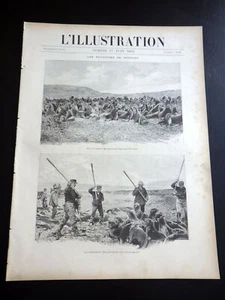 L'ILLUSTRATION Année 1893 Massacre des Phoques BEHRING Seal Rampage (Nr 2625) - Picture 1 of 3