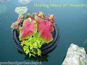 Maceta de estanque de isla flotante de 20" - Maceta acuática auto riego a prueba de koi - Imagen 1 de 4