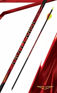 Black Eagle Outlaw Fletched Arrows - 6-Pack-400 Spine-.005 +/- - Picture 1 of 1