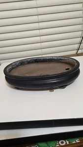 Genuine Japanese Bonsai  pot  "Tosui"  - Picture 1 of 10