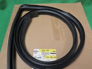 22583901 GM NOS LH ROOF DRIP RAIL WEATHERSTRIP 92-98 SKYLARK GRAND AM - Foto 1 di 1