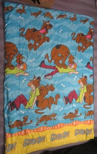Vintage 1998 Scooby Doo Shaggy Blanket Twin Size 90s Pre Owned Cartoon Rare READ - Picture 1 of 6