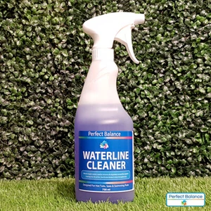 Perfect Balance | 750ml of Waterline Cleaner for Pools | Spas & Hot Tubs - Imagen 1 de 1