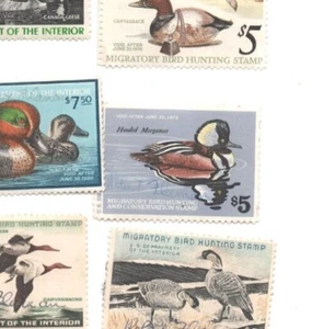 1978 - 1979 U.S. Federal Migratory Bird Hunting & Conservation Stamp - signed $5 - Picture 1 of 1