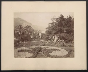Foto Fotograf unbekannt, Ansicht von Monaco-Monte-Carlo, Park, gepflegte le jardi - Bild 1 von 2