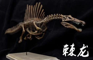 VWUVWU 1/20 Spinosaurus Skeleton Model Spinosauridae Dinosaur Collection Decor - Picture 1 of 8