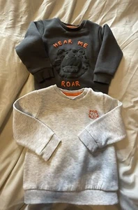12-18 Months 2 X Fred Flo Sweatshirts excellent condition - Picture 1 of 3