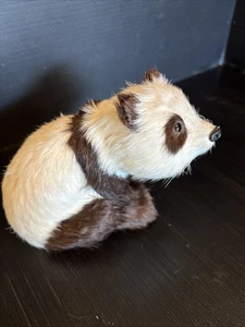 28) Statuina realistica vintage orso panda artigianale vera pelliccia occhi di vetro 6" - Foto 1 di 7