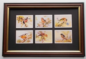 TARJETAS DE AVES DE BRITAIN ENMARCADAS - Imagen 1 de 1