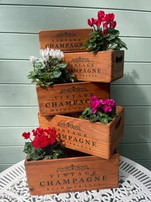 Rustic Vintage Style Wooden Champagne Crates/Box, Storage & Home Decor, Gift Box - Image 1 of 4