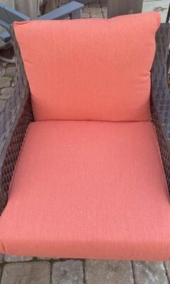 NEW Sunbrella Deep Seat Cushion Canvas melon Set sling from Peak Season - Image 1 of 4