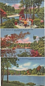 3 Vintage Leinen Tennessee TN Postkarten ~ Cumberland Mountain State Park ~ - Bild 1 von 7