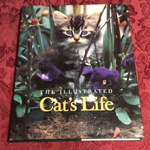 The Illustrated Cat’s Life by Warren & Fay Eckstein 1995  - Picture 1 of 4