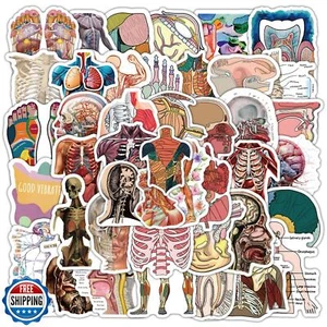 100PCS Cool Anatomy Stickers,Biologia Anatomia Corpo Umano Adesivi per St - Foto 1 di 5