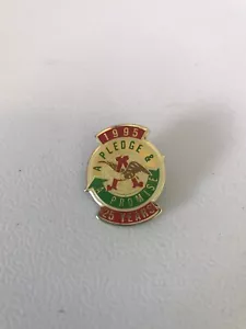 Vintage Anheuser Busch Bier Pin 1995 25 Jahre ein Versprechen ein Versprechen - Bild 1 von 2