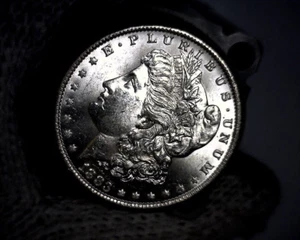 1883-o Blast White Unc Morgan Silber Dollar aus einer frischen Rolle wird bewertet - Bild 1 von 1