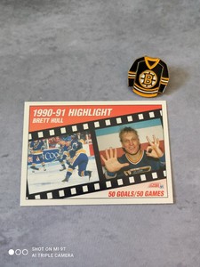 1991-92 Score / #412 BOARD HULL / St. Louis Blues / 🙂 🙂 🙂