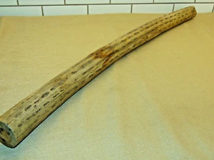 29.5" Chilean Cactus Rain Stick Percussion Musical Instrument Rainstick Shaker - Picture 1 of 5