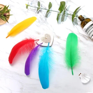 300 Stck. Bunte Gänsefedern Natürliche Großpackung, 5-7 Zoll Großpackung Natürliche Federn Fo... - Bild 1 von 9