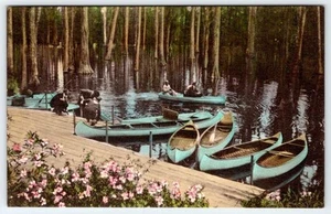POSTAL TIPO ALBERTYPE AÑOS 20 CYPRESS GARDEN CHARLESTON SC COLOREADA - Imagen 1 de 2