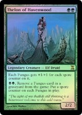 Time Spiral  Foil  MTG  Thelon of Havenwood   Magic