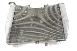 RADIATORE KAWASAKI NINJA 1000 ZX-10R 2004 - 2005 390610041 RADIATOR PIEGATO - Imagen 1 de 3