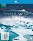 Frozen Planet - Eisige Welten [Blu-ray] | DVD | Zustand gut