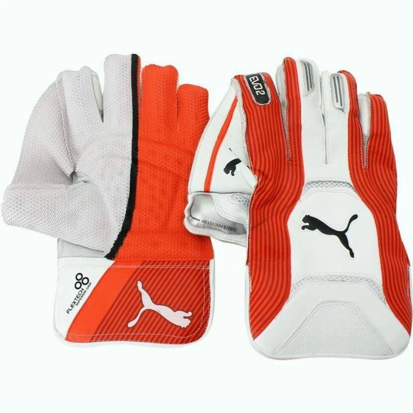 Puma EVO 2 WICKET KEEPER GLOVE - image 1 of 1