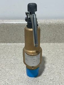 Kunkle 6010EEM01-ALM 60PSI Size 1 NEW - Picture 1 of 4