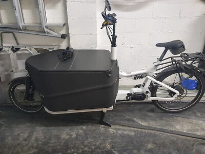 Bicicleta de carga Riese & Muller Packster 70 Vario - Imagem 1 de 4
