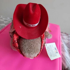 The Texas Armadillo Cowboy Yippie Yi Yay Soft Toy Plush Souvenir 8" State Mascot - Picture 1 of 6