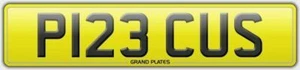 Nummernschild P123 CUS Zulassung EDEL PRECOUS PRECY PRECCY PRECS REG - Bild 1 von 3