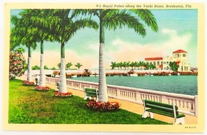 Yacht Basin Bradenton Florida Postal De Colección Lino Municipal Pier Palm Travel - Imagen 1 de 2