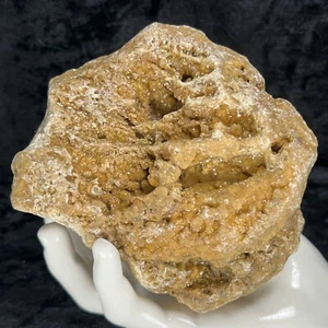 4-1/2” Geoda Hierro Natural Naranja Druzy Cristal Dorado Curandero Cuarzo 1.9Lb KYUSA - Imagen 1 de 5