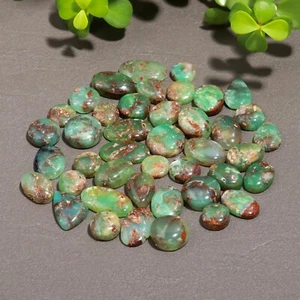 42 Pcs 241 Cts Natural Chrysoprase Gemstone Cabochon Lot 10x20-10x15mm #12350 - Picture 1 of 9