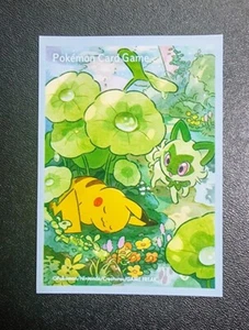 1 SLEEVE N°037 POKÉMON CENTER PIKACHU SPRIGATITO/POUSSACHA COLLECTOR - Picture 1 of 1