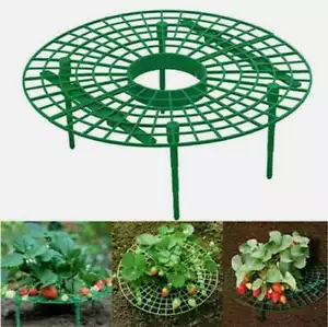 1/3/5Pcs Strawberry Stand Frame Holder Balcony Planting Rack Fruit Support Plant - Picture 1 of 13