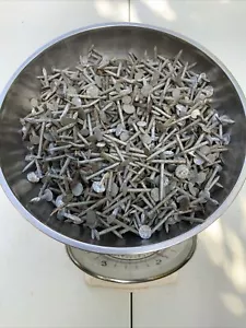 1.8kg CLOUT FELT SHED ROOF NAILS - GALVANISED EXTRA LARGE HEAD  - 20mm 34mm.# SH - Picture 1 of 5