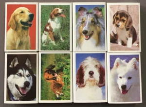 Lot de 8 boîtes d'allumettes, thème : "chien" (Ba/145) - Picture 1 of 3
