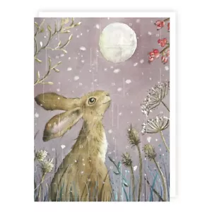 Traditional Moongazing Hare Advent Calendar - 24 Doors Christmas Countdown - Picture 1 of 2