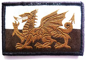 WALES TUCHAUFNÄHER Cymru Haken & Schlaufe Flagge Abzeichen Y Ddraig Goch walisischer Drache braun - Bild 1 von 2