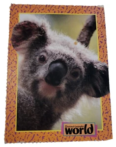 1993 National Geographic World Trading Card Koala (H6 - Picture 1 of 2