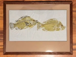 Original Gyotaku Fish Art Tilapia Signed & Framed Vintage 1991 By Merrill  - Picture 1 of 6