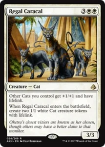 MTG - REGAL CARACAL - Amonkhet (R) - Picture 1 of 1