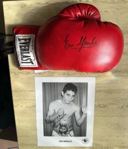 Erik El Terrible Morales signed Boxhandschuh Bild HOF Autogramm PSA Everlast - Bild 1 von 19