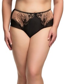 Dita Von Teese Julie's Roses Brief Panties NWT Luxury Semi-Sheer Lingerie D25019