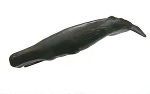 Marine Life Quality Modell - SOTTWAL - Bild 1 von 2